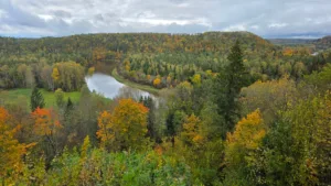 Meandro del río Gauja en otoño