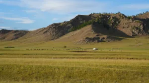 Ger and Sheep in the Tamir Valley, Arkhangai