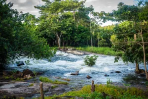 Goba Waterfall near Man