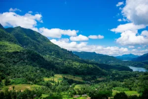 Green Hills around Ella