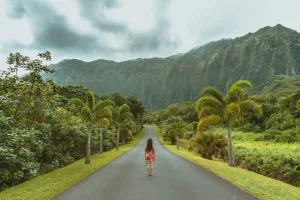 Hoʻomaluhia Botanical Garden, Oʻahu