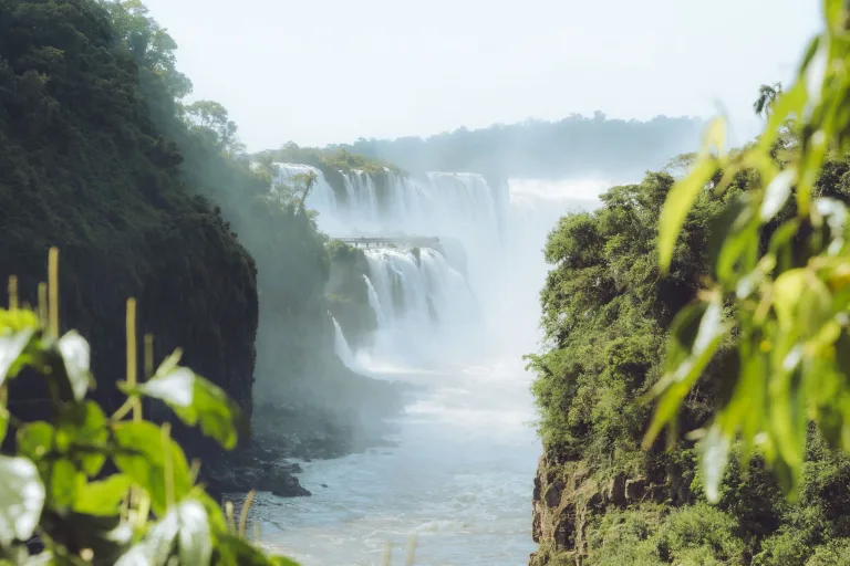 Las cataratas del Iguazú entre las hojas
