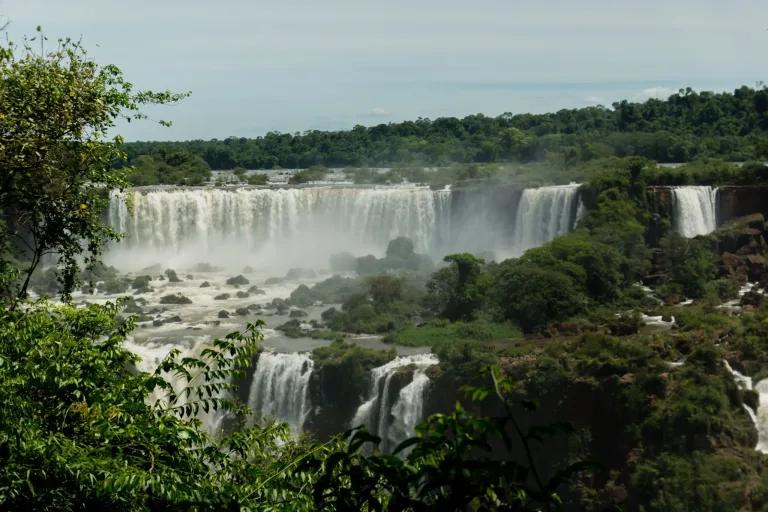 Las cataratas del Iguazú entre la selva