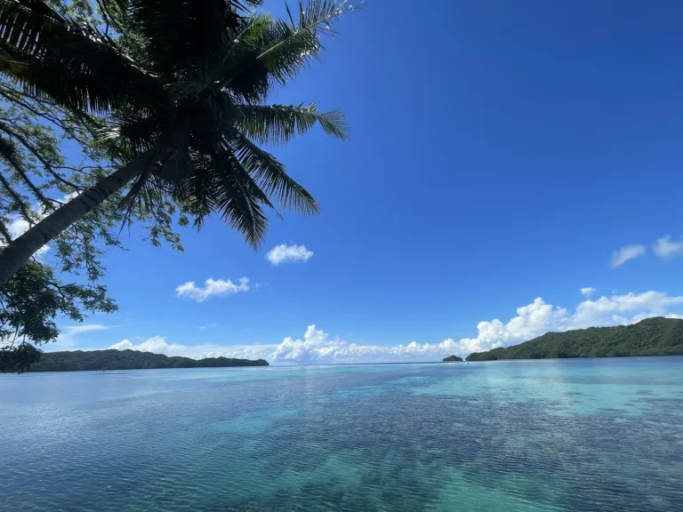 Lagoon Seen from a Boat, Palau