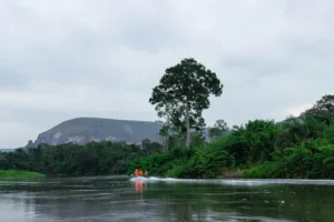 Lefini River and Table Hills, Batéké Plateaux