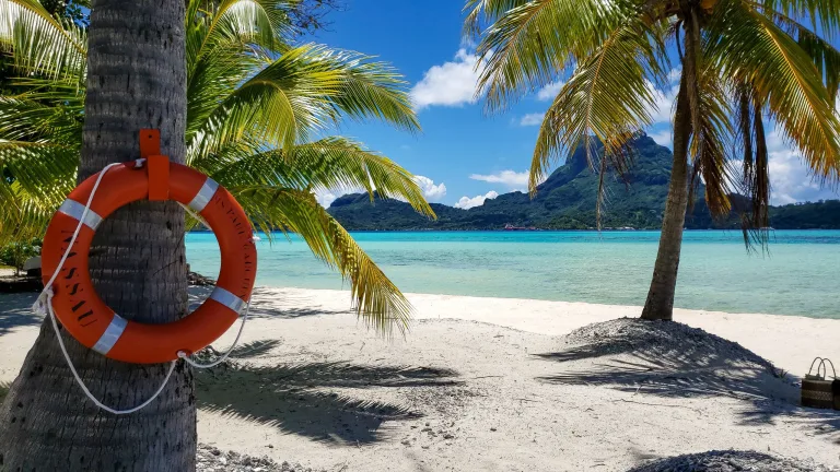 Un salvavidas en una palmera, Bora Bora