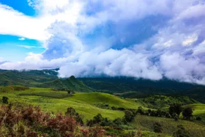 Mambilla Plateau, Taraba State