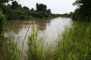 El río Mekrou en el Parque Nacional W