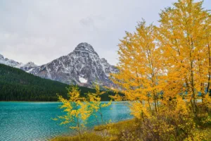 Mount Chephren and Waterfowl Lake in Autumn