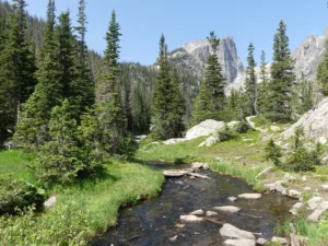 Arroyo de montaña en el Parque Nacional de las Montañas Rocosas