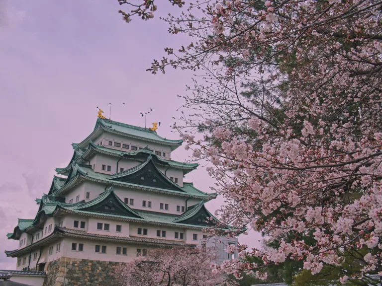 Nagoya Castle and Cherry Blossoms