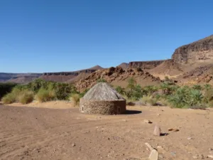 Oasis of Terjit, Adrar