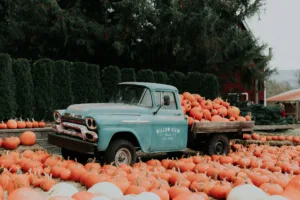 Old Pickup Truck in a Pumpkin Patch, Abbotsford