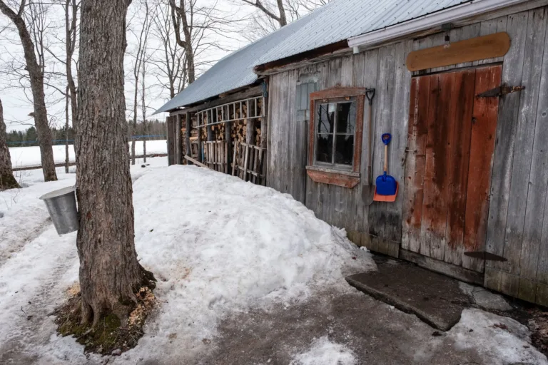Old Sugar Shack in the Snow, Quebec