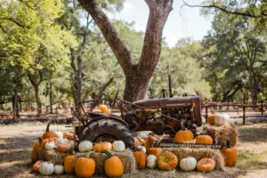 Old Tractor at Shadow Creek Pumpkin Farm, Texas