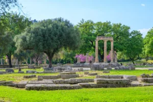 Olive Trees in Ancient Olympia