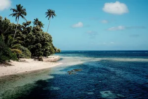 Playa con palmeras en Nusa Tenggara Oriental