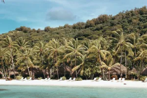 Palm-Fringed Beach, Bora Bora