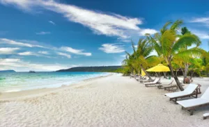 Palm-Lined Beach on Koh Rong