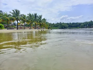 Palm-Lined Lagoon Shore, Assinie