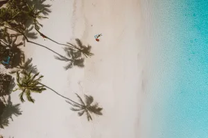 Palm Shadows on a Hawaiian Beach
