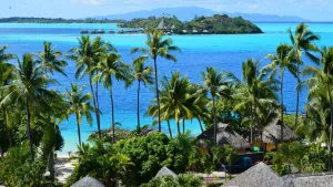 Palm Trees above the Lagoon, Bora Bora