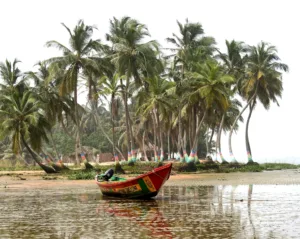 Palm Trees and a Painted Canoe, Ada