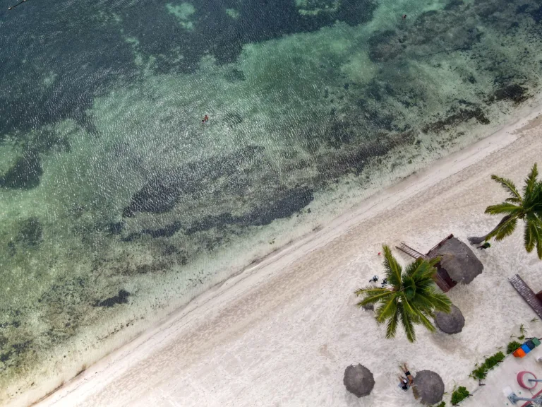 Palms and Beach Umbrellas, Cancún