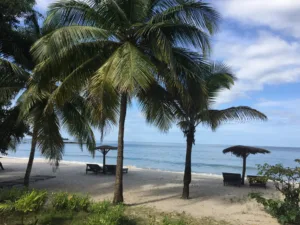 Palms on Tokeh Beach