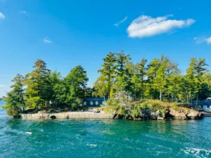 Isla de pinos en las Mil Islas