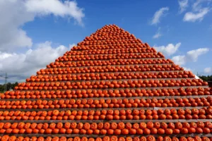 Pumpkin Pyramid in Hamburg