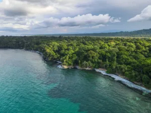 Punta Uva on the Caribbean Coast