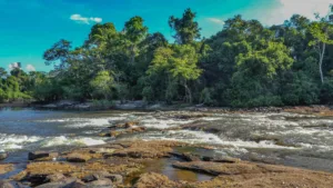 Rápidos del río Surinam cerca de Nieuw Aurora