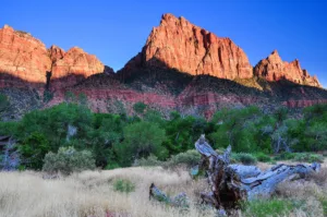 Red Cliffs at Sunrise, Zion
