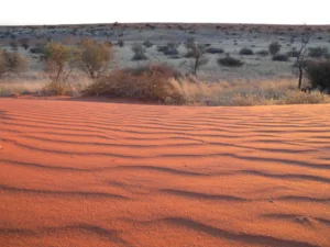 Dunas rojas del Kalahari, Namibia