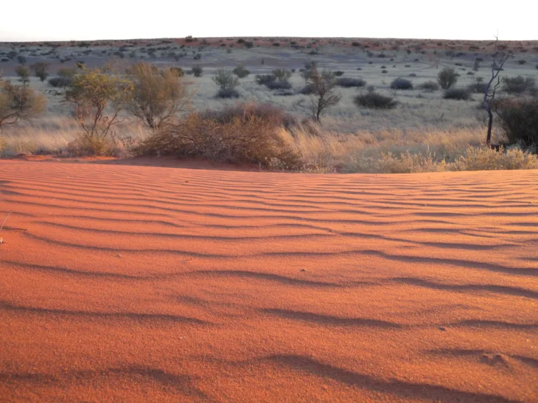 Red Dunes of the Kalahari, Namibia