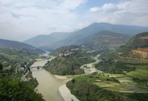 Arrozales junto al Mo Chhu, valle de Punakha