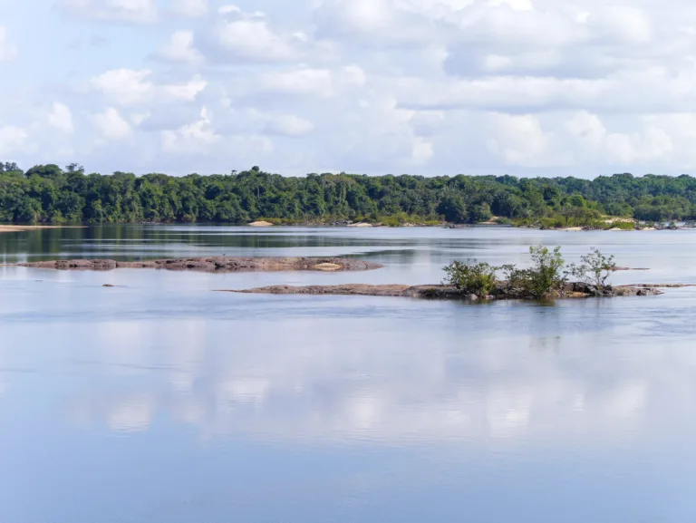 River in the Iwokrama Forest