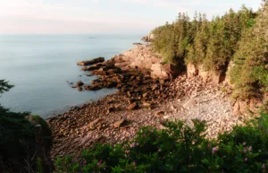 Rocky Coast of Acadia, Maine