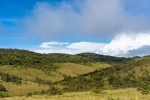 Rolling Grasslands of Horton Plains