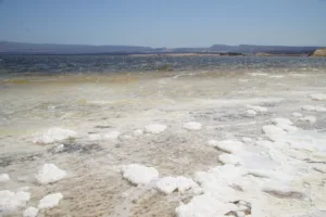 La orilla de sal del lago Assal