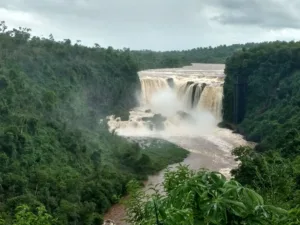 Saltos del Monday, Presidente Franco