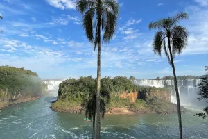 San Martín Island and Palms, Iguazu