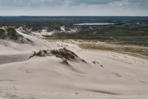 Sand Dunes near Skagen