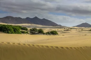 Dunas de arena de Boa Vista