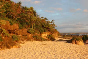 Playa de arena en el sur de Tongatapu