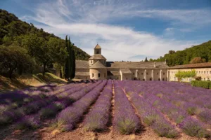 La abadía de Sénanque y su campo de lavanda
