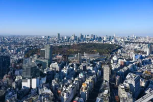 Shinjuku Gyoen from Above, Tokyo