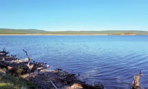 Shore of Lake Khövsgöl