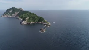 Snake Island (Ilha da Queimada Grande), Brazil